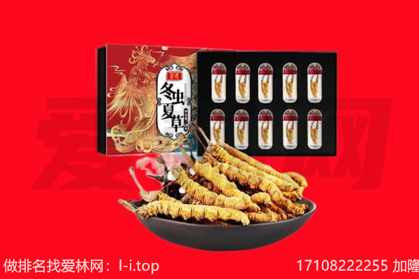 长汀县回收虫草.jpg